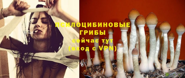 ПСИЛОЦИБИНОВЫЕ ГРИБЫ Михайловск